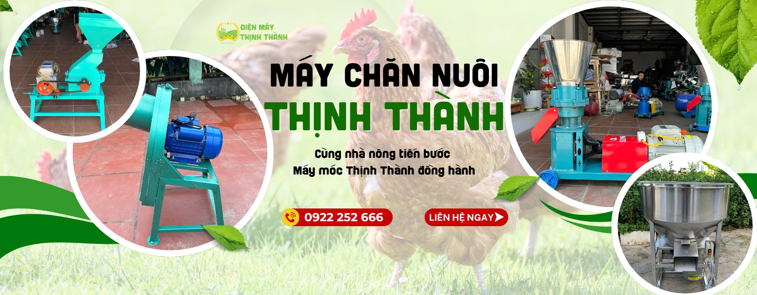 Thinh Thanh