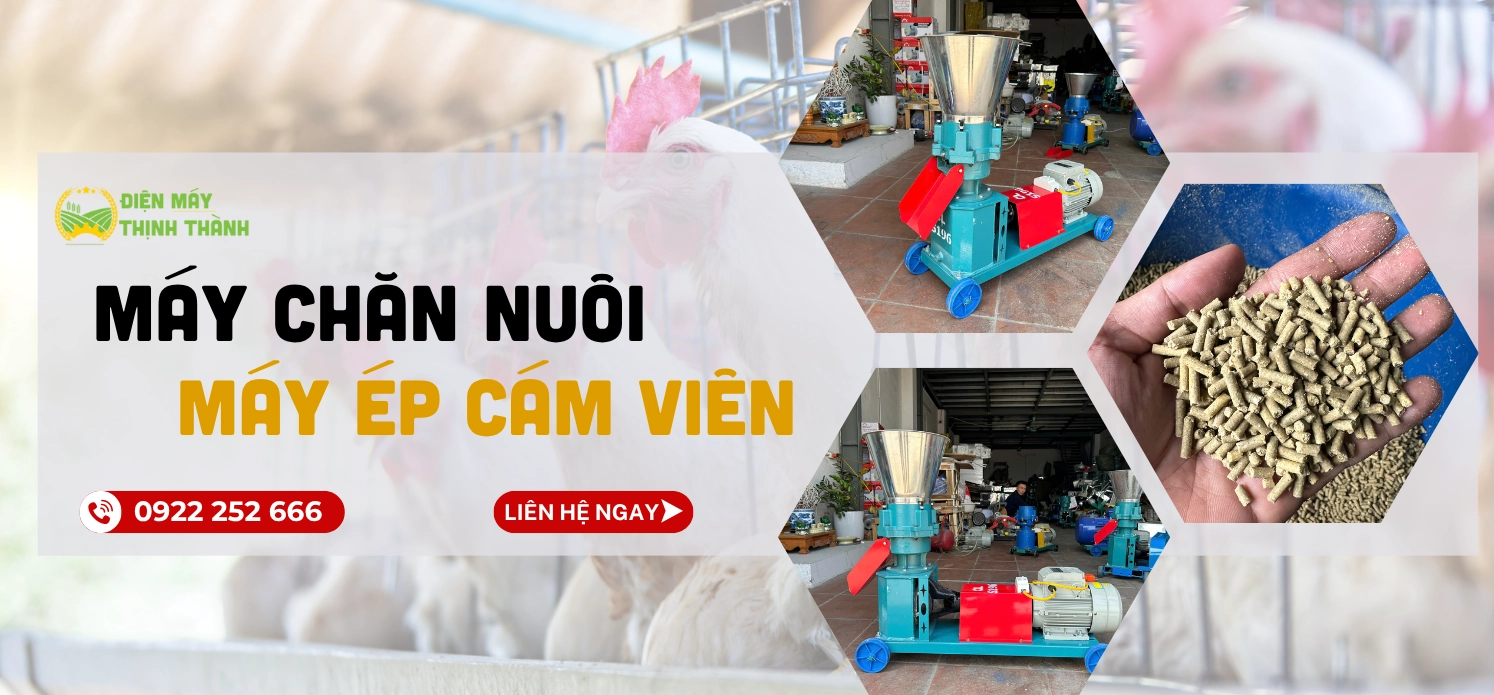 Thinh Thanh