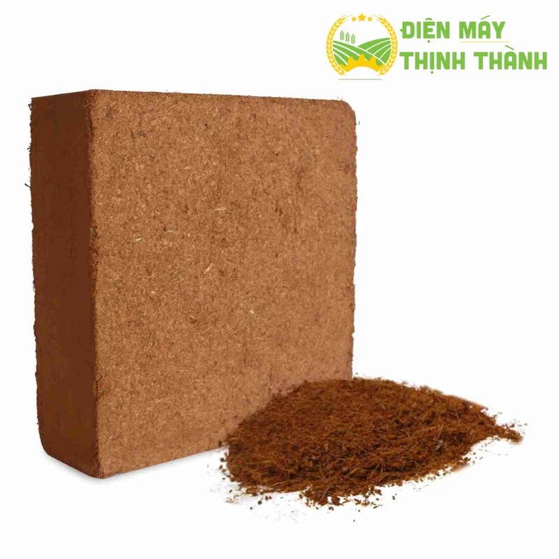 Mụn dừa là gì?