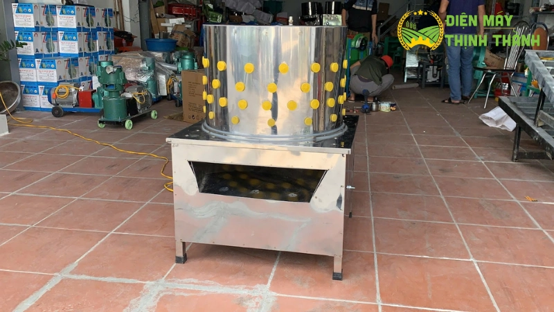 Tại sao máy vặt lông gà vịt đường kính 80cm là lựa chọn tối ưu và Điện Máy Thịnh Thành là đối tác tin cậy