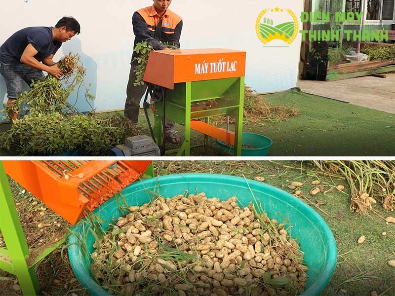 Cập nhật giá máy bóc vỏ lạc gia đình mới nhất trên thị trường
