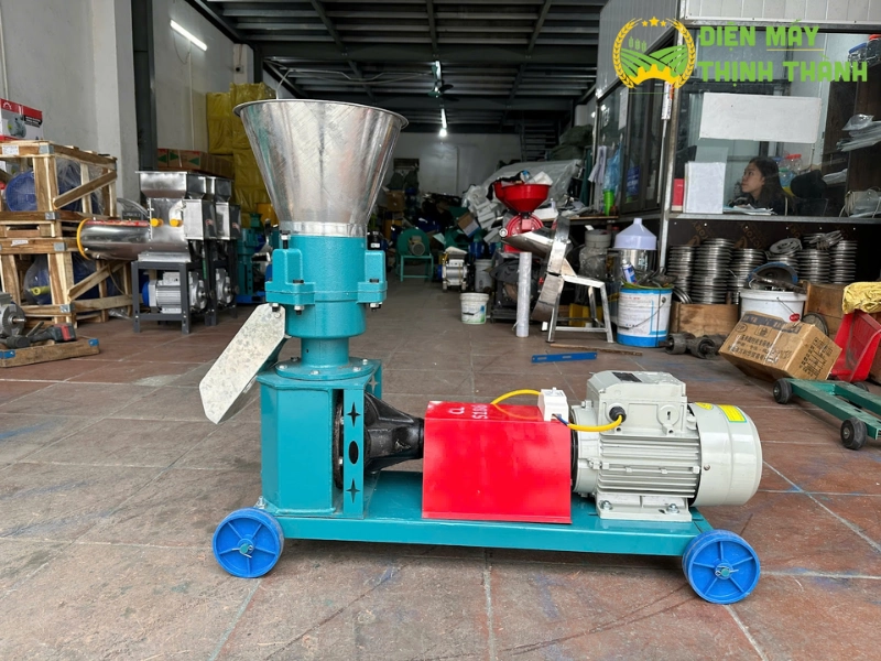 Lợi ích kinh tế và hiệu quả chăn nuôi khi sử dụng S186 Plus