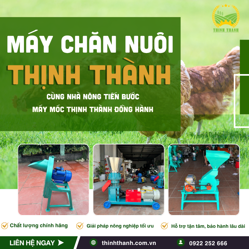 Thinh Thanh